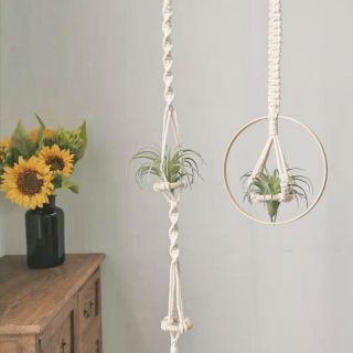 Dây treo cây không khí day Macramé air plants
