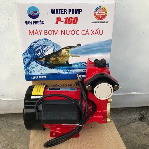 MÁY BƠM NƯỚC CÁ SẤU - 160W