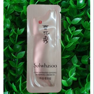 Set 12 gói kem nhân sâm chống lão hóa Sulwhasoo