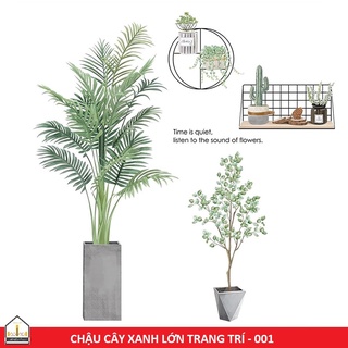 Decal dán tường trang trí góc phòng mẫu CÂY XANH LỚN MS048 trang trí nhà cửa - Tranh dán tường - Trang trí Ban Công