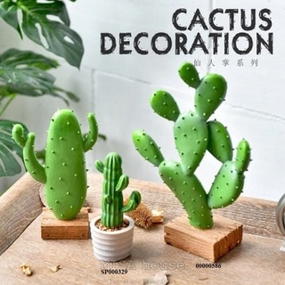 Cây xương rồng giả đẹp decor trang trí tủ kệ nhà quán cafe cửa hàng - đạo cụ chụp ảnh Misa House