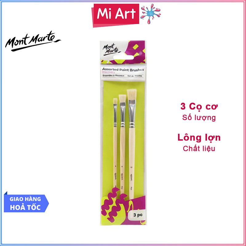 Bộ 3 Cọ Vẽ Mont Marte Cơ Bản - Assorted Paint Brushes Discovery 3pc - BMHS0038