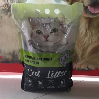 Cát litter