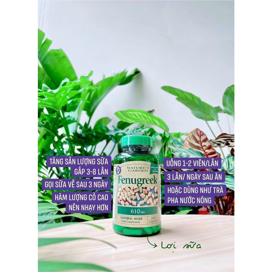 Lợi Sữa Cỏ Cà Ri Fenugreek Nature's Garden 610mg