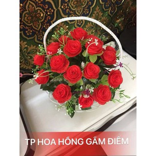 Hoa hồng   Combo 500k