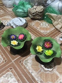 Bát sen thả hoa đẹp