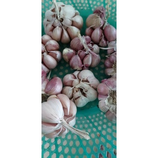 Tỏi tím tép to thơm