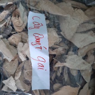 cây quýt gai 1 kg