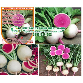 Sale off Hạt giống củ cải ruột đỏ cực đẹp.