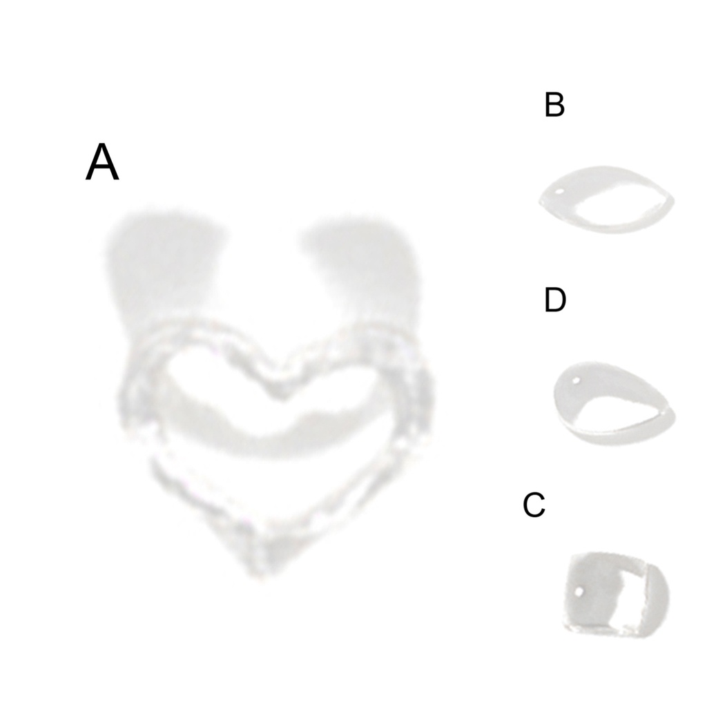 Bộ 100 Phụ Kiện Trang Trí Móng Tay Tạo Hiệu Ứng 3D Bằng Nhựa Resin