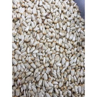 Hạt kham trắng cho chim - gói 1kg