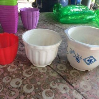Combo 17 chậu nhựa