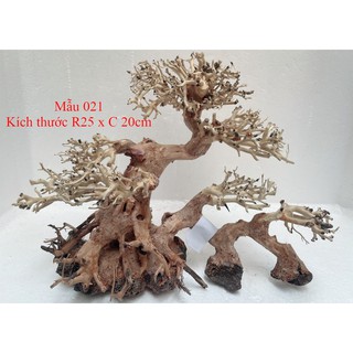 Lũa bonsai trang trí hồ thủy sinh, cá cảnh kích thước 20x25cm - mẫu 021