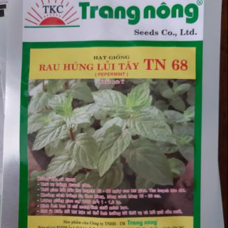 Hạt giống rau húng lủi tây