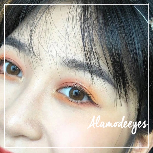 Lens nâu mật ong áp tròng