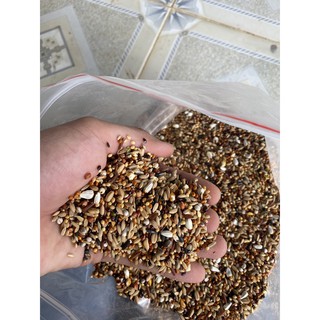 2kg hạt cỏ thái trộn 15 loại ngũ cốc dùng cho chim cu thiên nhiên 100% tăng cường dinh dưỡng cực sung