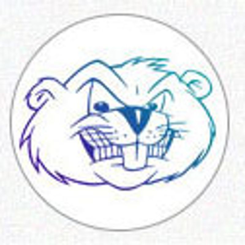 Bộ 500 Con Dấu Gỗ Hình Động Vật Phong Cách Retro