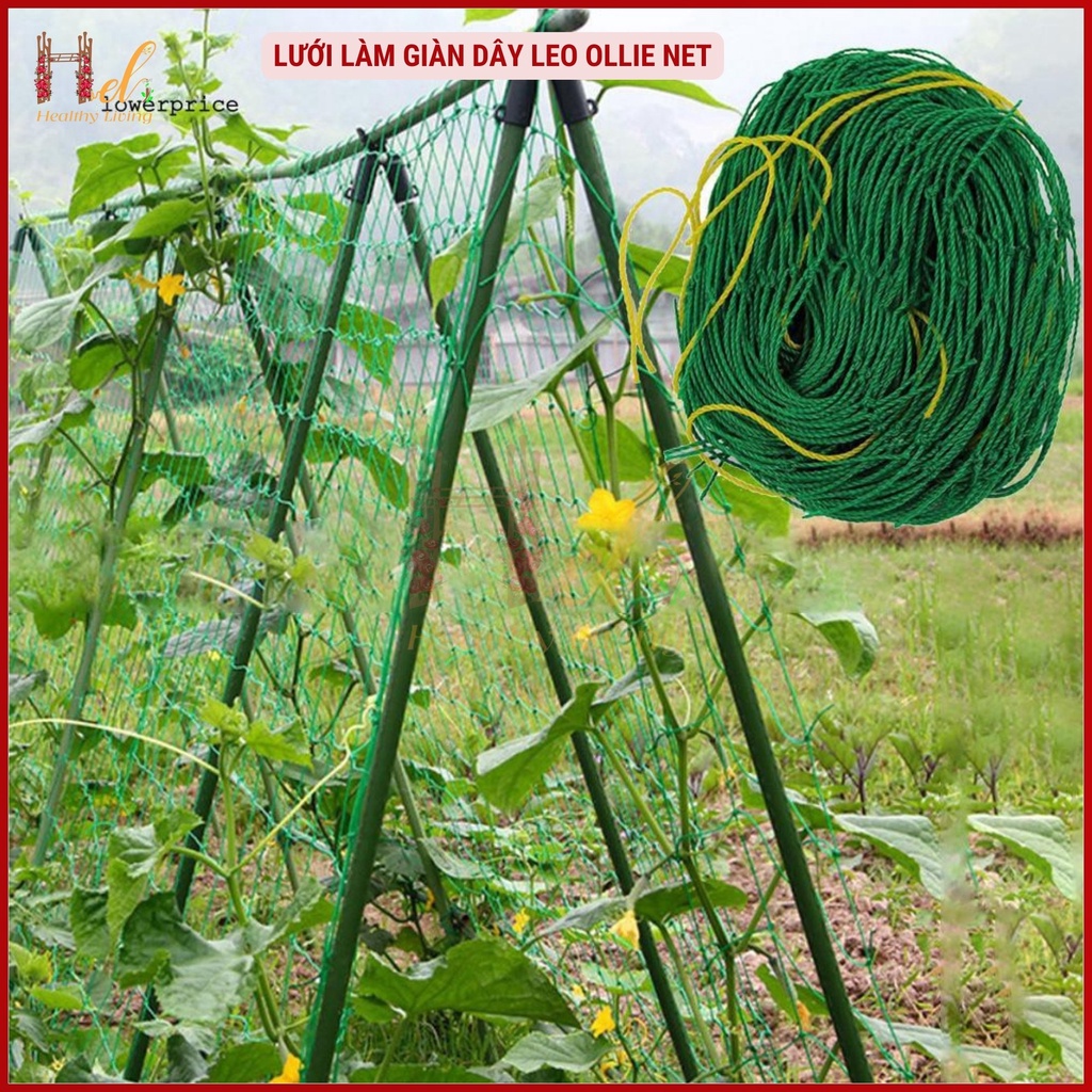 Lưới Làm Giàn Dây Leo (0,9m x 1,8m) Lưới Làm Giàn Dưa Leo, Hoa, Đậu Leo, Giàn Cây Bền Chắc