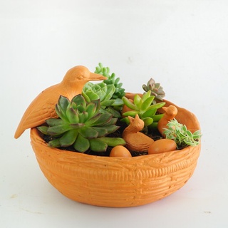 Ổ Rơm Đất Nung Trồng Cây