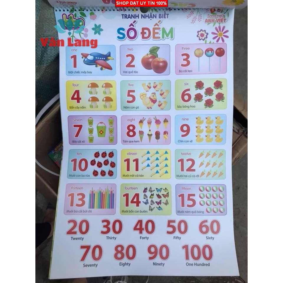 Bộ Tranh treo tường, Học song ngữ, học bảng chữ cái 12 Chủ đề kích thước 40 x 60 cm