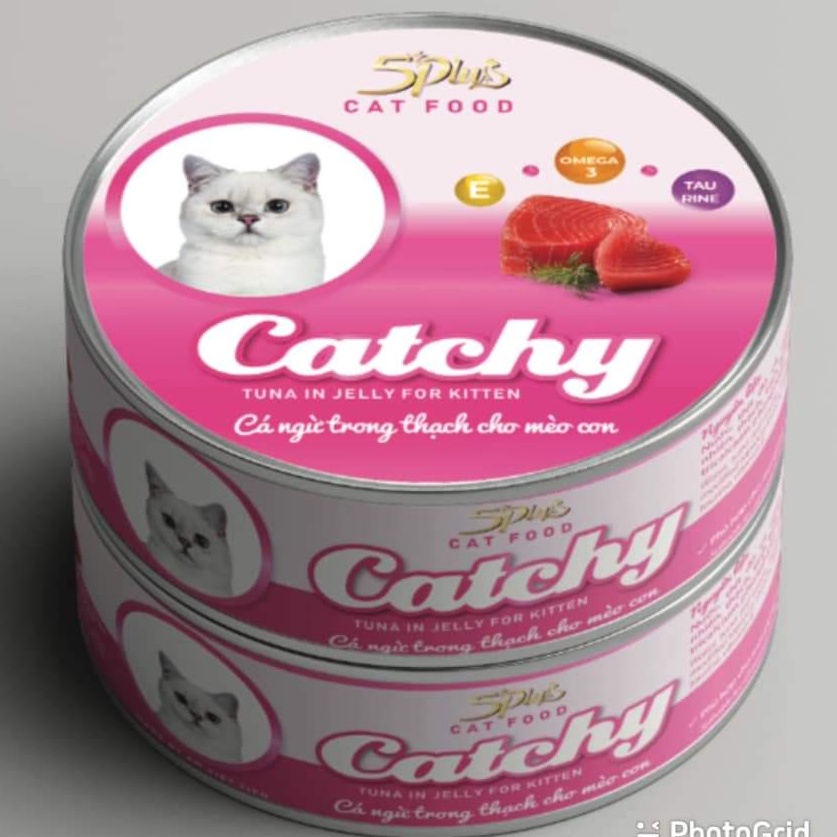 Pate lon dạng thạch 170gr Catchy 100% Thịt Thật Nhiều Vị