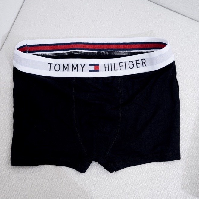 Quần lót Nam TOMMY chất thun lạnh mặc cực mát siêu co dãn cao cấp TD_73