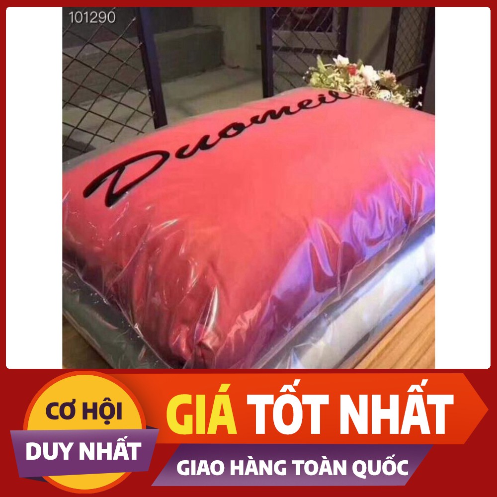 Gối lông vũ tự nhiên ( 1 chiếc)