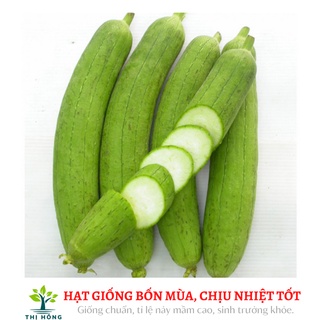 Hạt giống mướp hương lai F1 2g