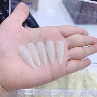 Móng úp HSM form nhọn đục trơn ( hộp 500m)