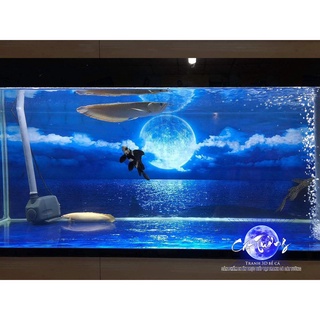 tranh 3d. tranh dán bể cá thủy sinh, bể cá rồng (tranh lưng)