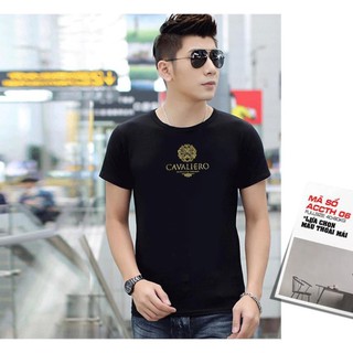 [ CÓ ÁO BIGSIZE ] [ CÓ SIZE NGOẠI CỠ CHO NGƯỜI BÉO ] Áo thun body nam đẹp