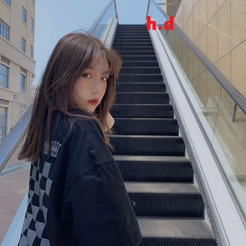 Áo phông CHESS bàn cờ cotton HD11