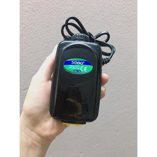 Sủi oxi cho hồ cá