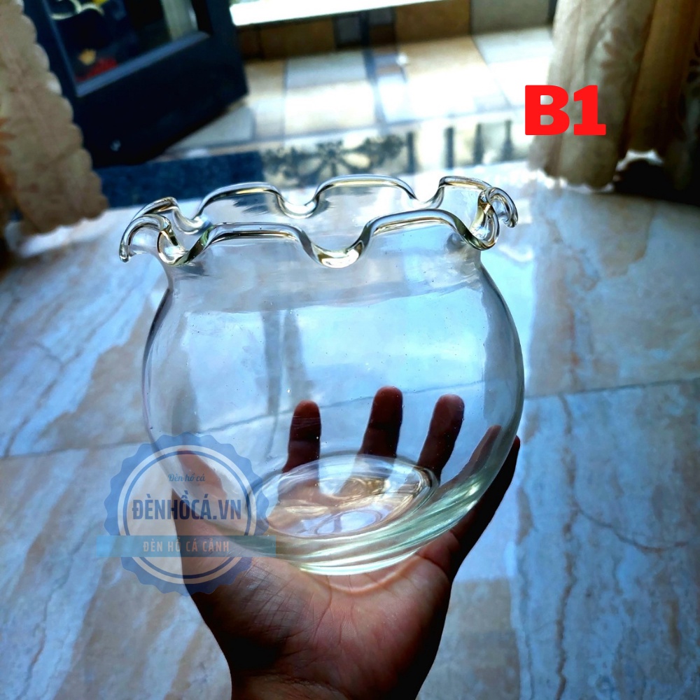 Chậu thủy tinh mini nuôi cá, bể cá mini để bàn