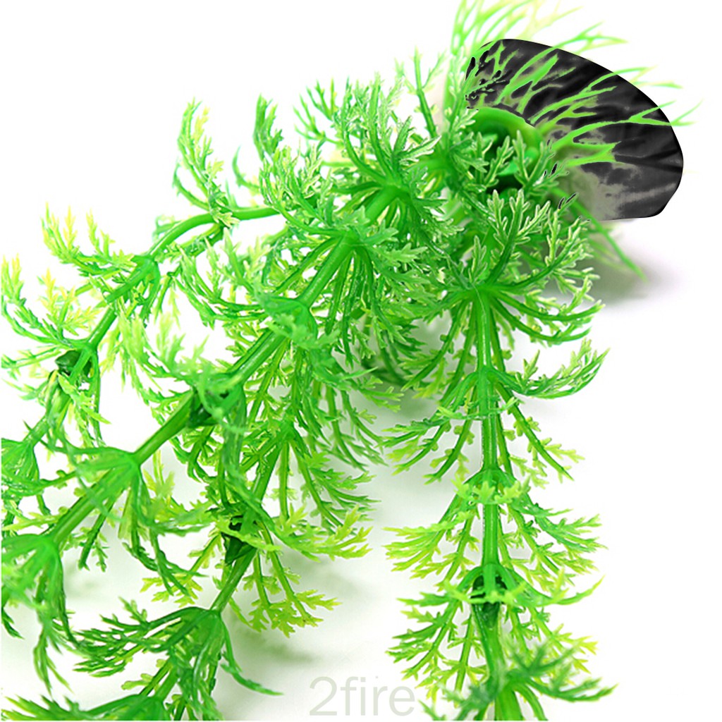 Cỏ nhân tạo trang trí hồ cá
