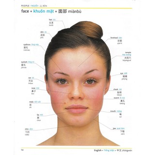 Sách - Pons general reference trilingual visual dictionary Vietnamese–English–Chinese+KÈM FILE NGHE TRỰC TUYẾN