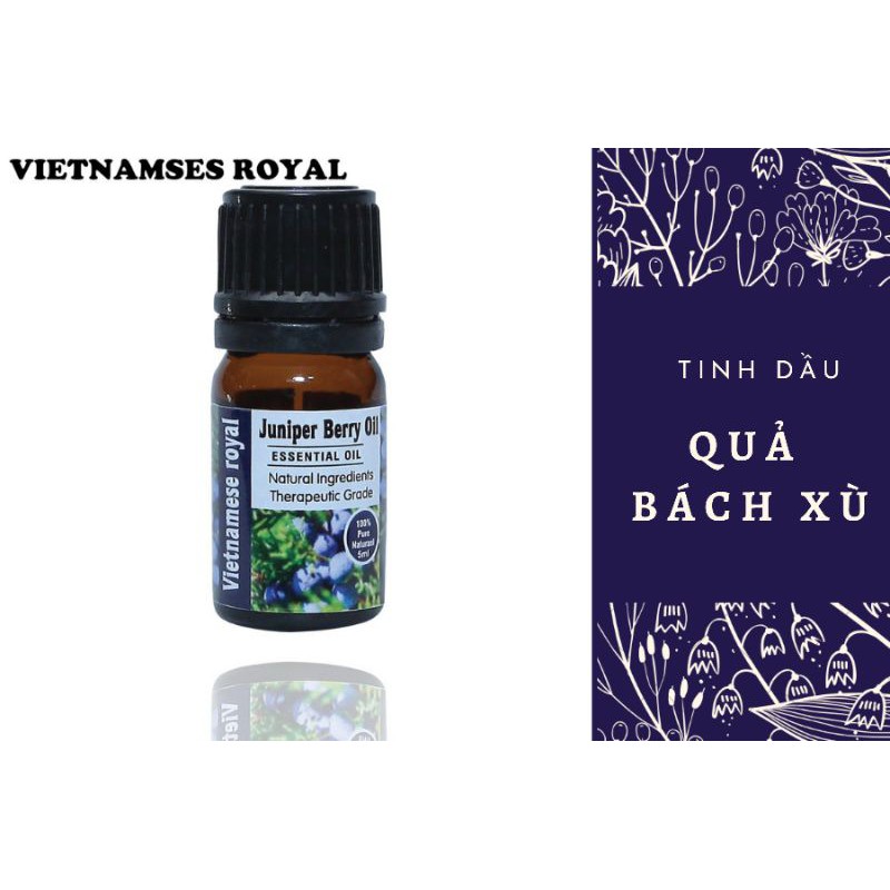 Tinh dầu quả bách xù Juniper berry essential oil