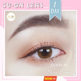 Lens 1 ngày Ann365 SHINE BROWN/ GRAY áp tròng 14,2mm