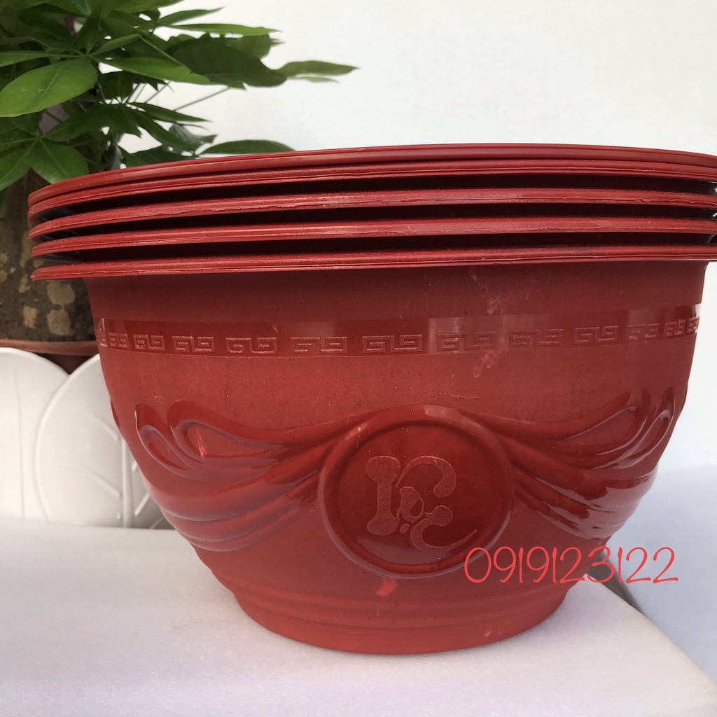 5 chậu nhưa tròn T38 KT37,5*19cm trồng mai, đào, quất, hoa hồng
