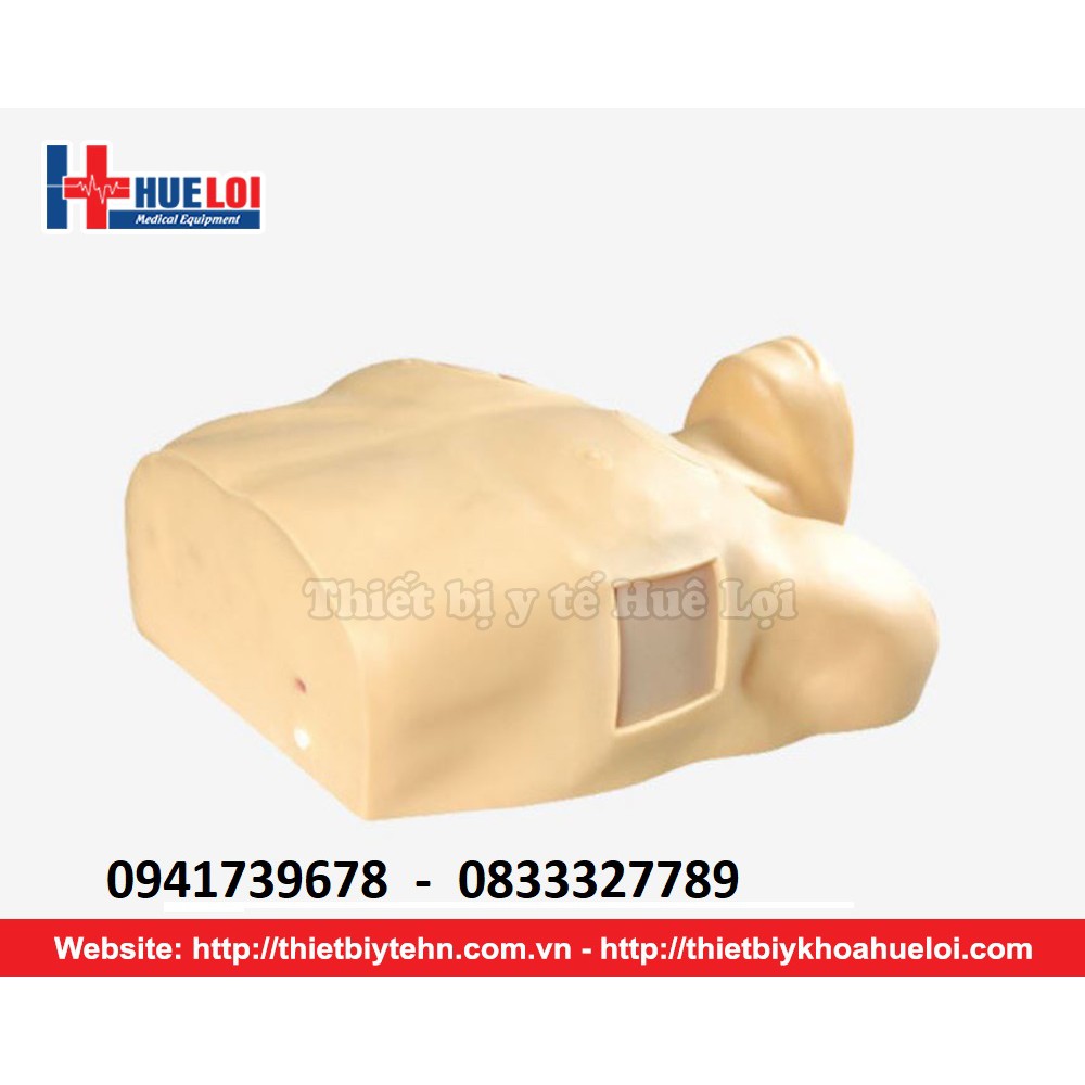 Mô hình chọc dịch màng phổi