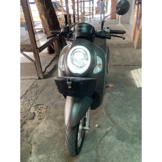 Rổ Scoopy Đủ Màu