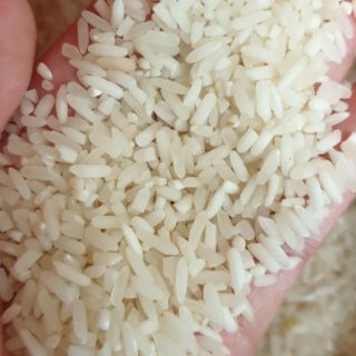 Gạo Séng Cù Mường Khương (tặng cám gạo)