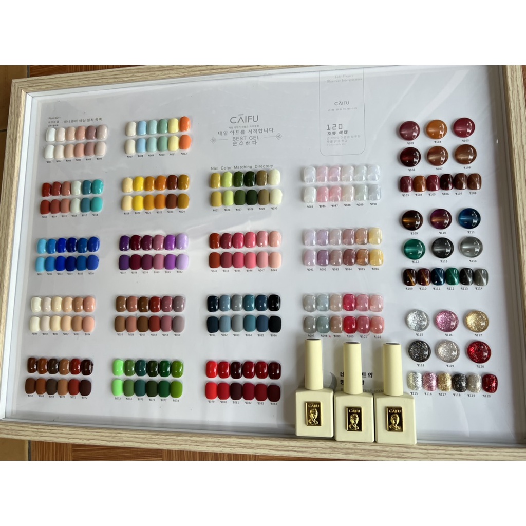 Sơn Gel CAIFU 120 Gam Màu Đẹp Thời Trang Phong Cách Mới - Lẻ 1 Chai