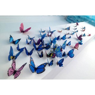 Bộ 12 bướm 3D trang trí gắn tường