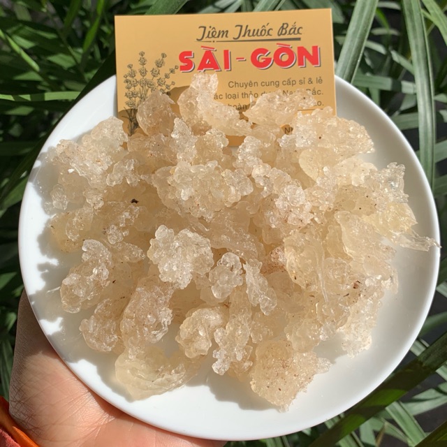 Tuyết Yến 1kg (Loại thượng hạng không lẫn tạp chất, kéo sợi dài) | Tiệm Thuốc Bắc Sài Gòn