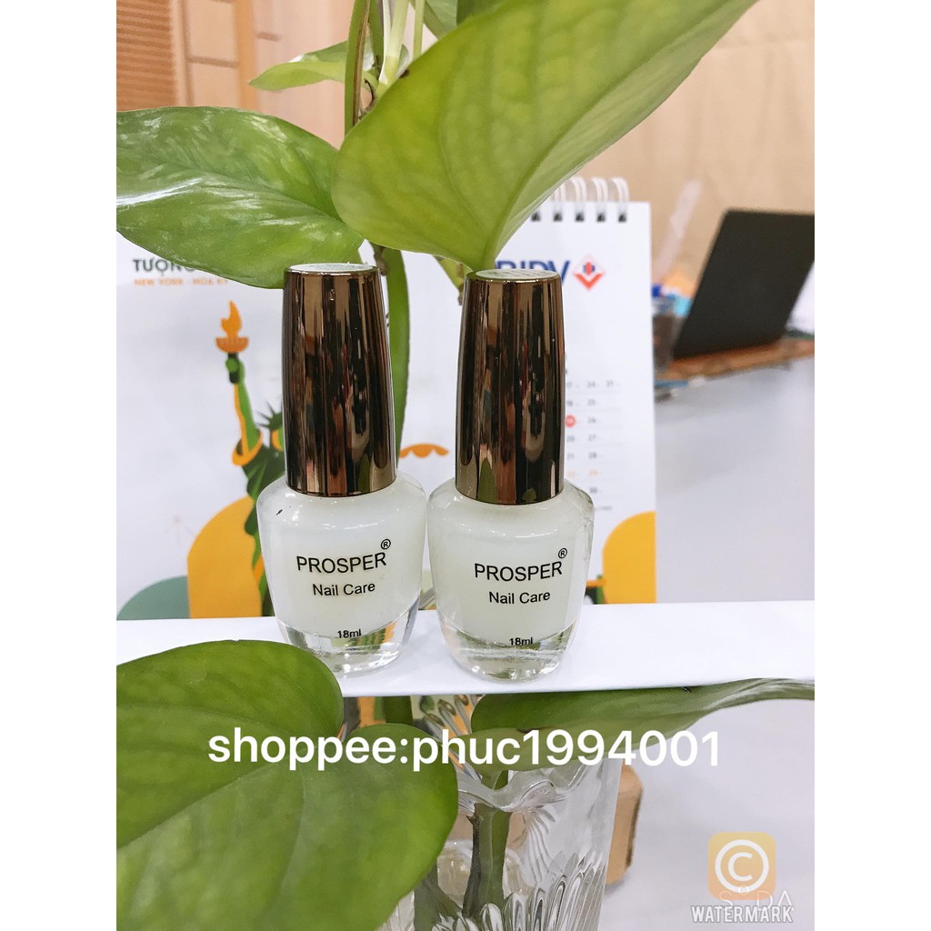 Top nhám sơn thường  Prosper 18ml