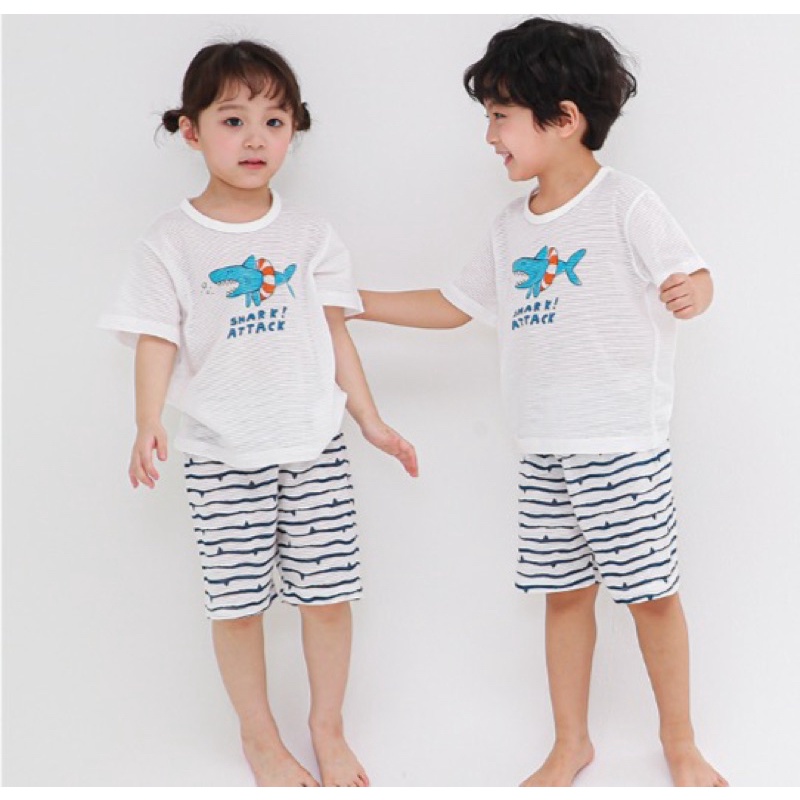 Bộ cotton giấy mềm Ppippilong xuất Hàn