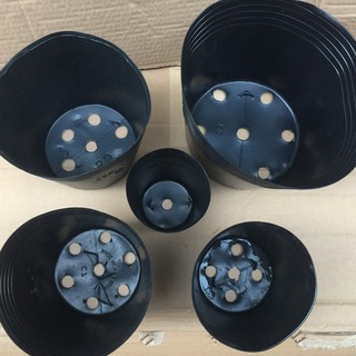 Combo 10 chậu trồng hoa, cây cảnh C7 (17x15cm)