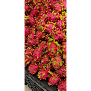 Thanh Long ruột đỏ 1kg