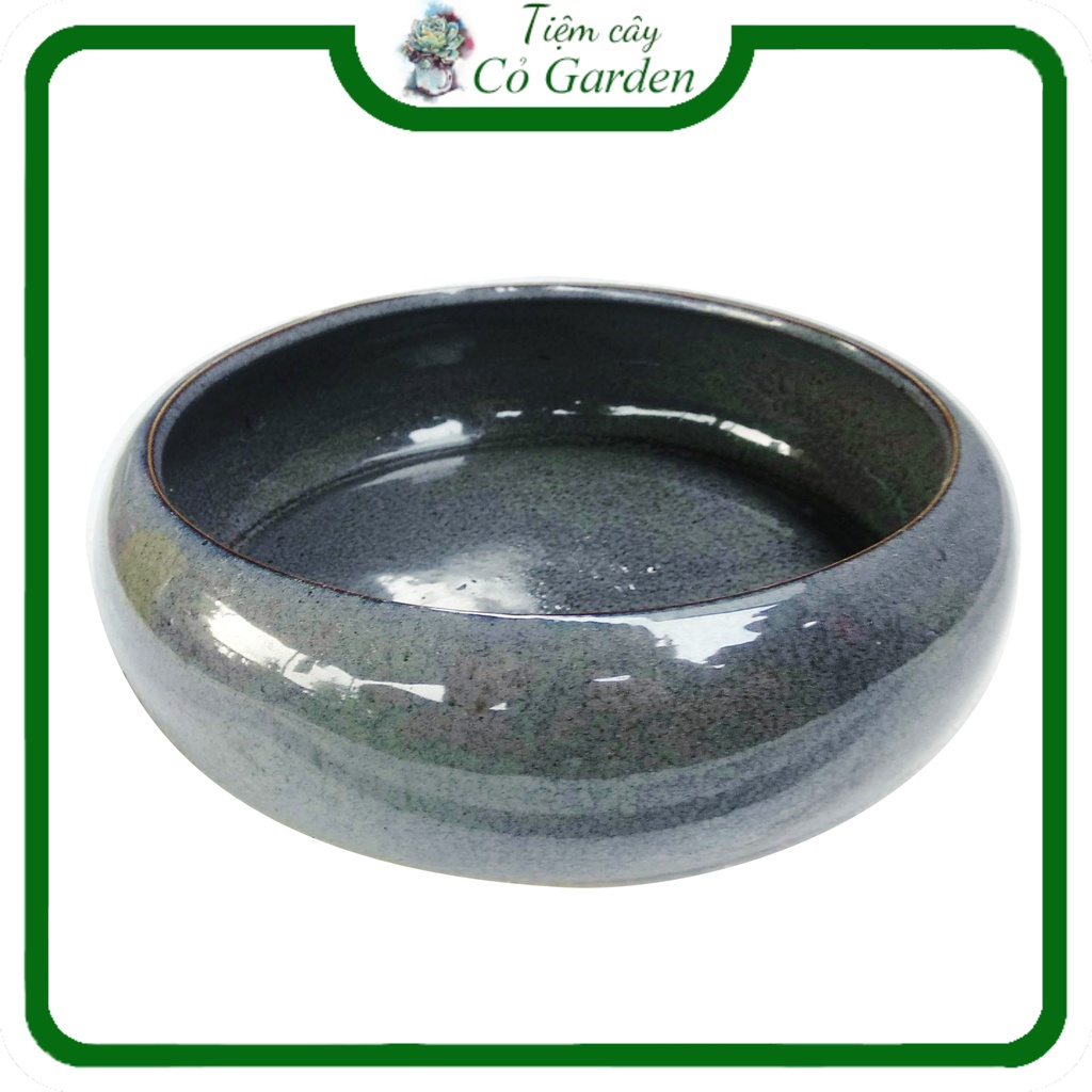 Chậu ang tròn trồng cây thủy sinh, tiểu cảnh, 🌵FREESHIP🌵 Chậu cây gốm sứ giá rẻ, đẹp.